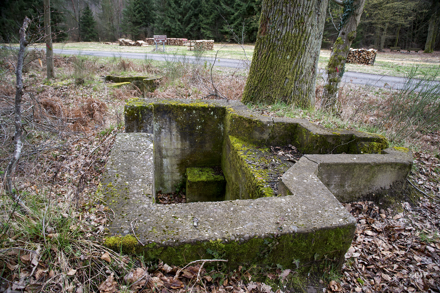 Ligne Maginot - CARREFOUR PARADE 1 - (Cuve pour arme d'infanterie) - 