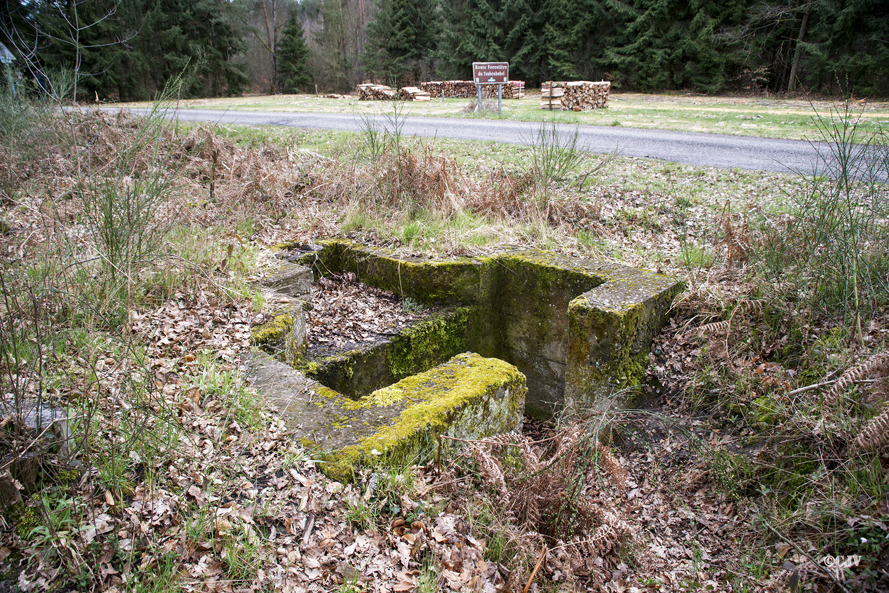 Ligne Maginot - CARREFOUR PARADE 2 - (Cuve pour arme d'infanterie) -  - Lia VERMEULEN