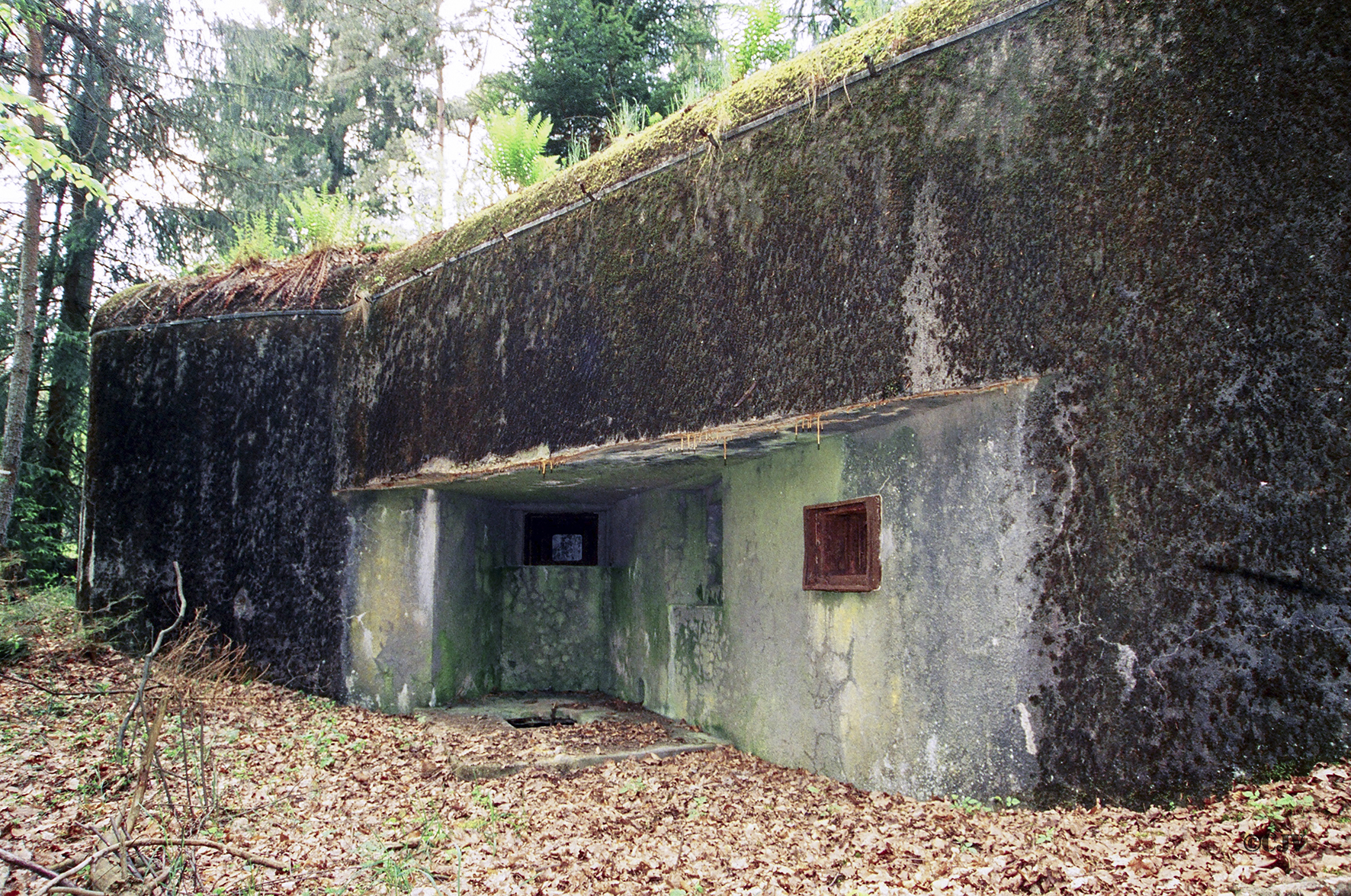 Ligne Maginot - GRAFENWEIHER NORD OUEST - (Casemate d'infanterie - double) -  - Lia VERMEULEN