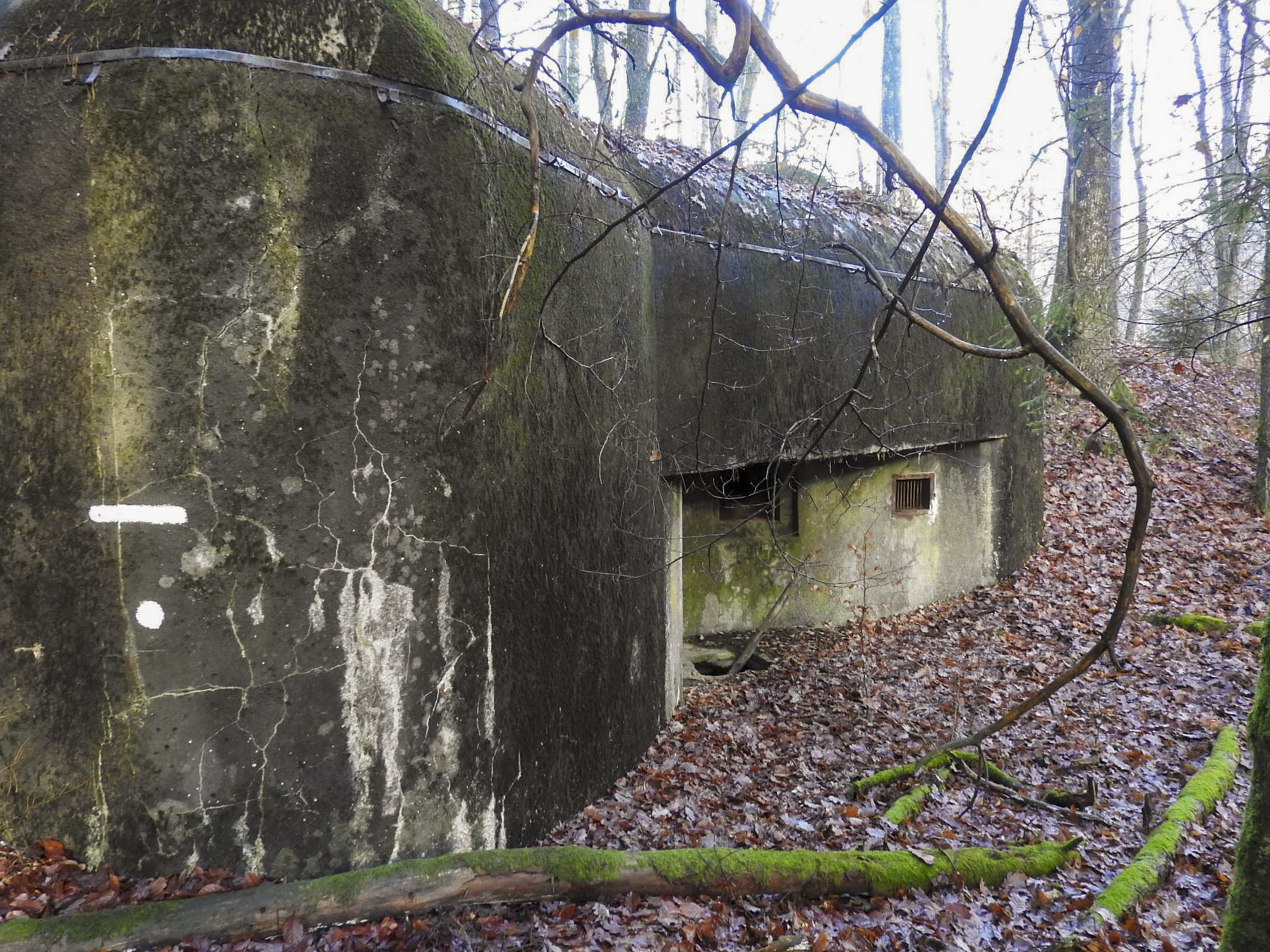 Ligne Maginot - GRAFENWEIHER NORD OUEST - (Casemate d'infanterie - double) - La façade de tir Est - STENGER Mathieu