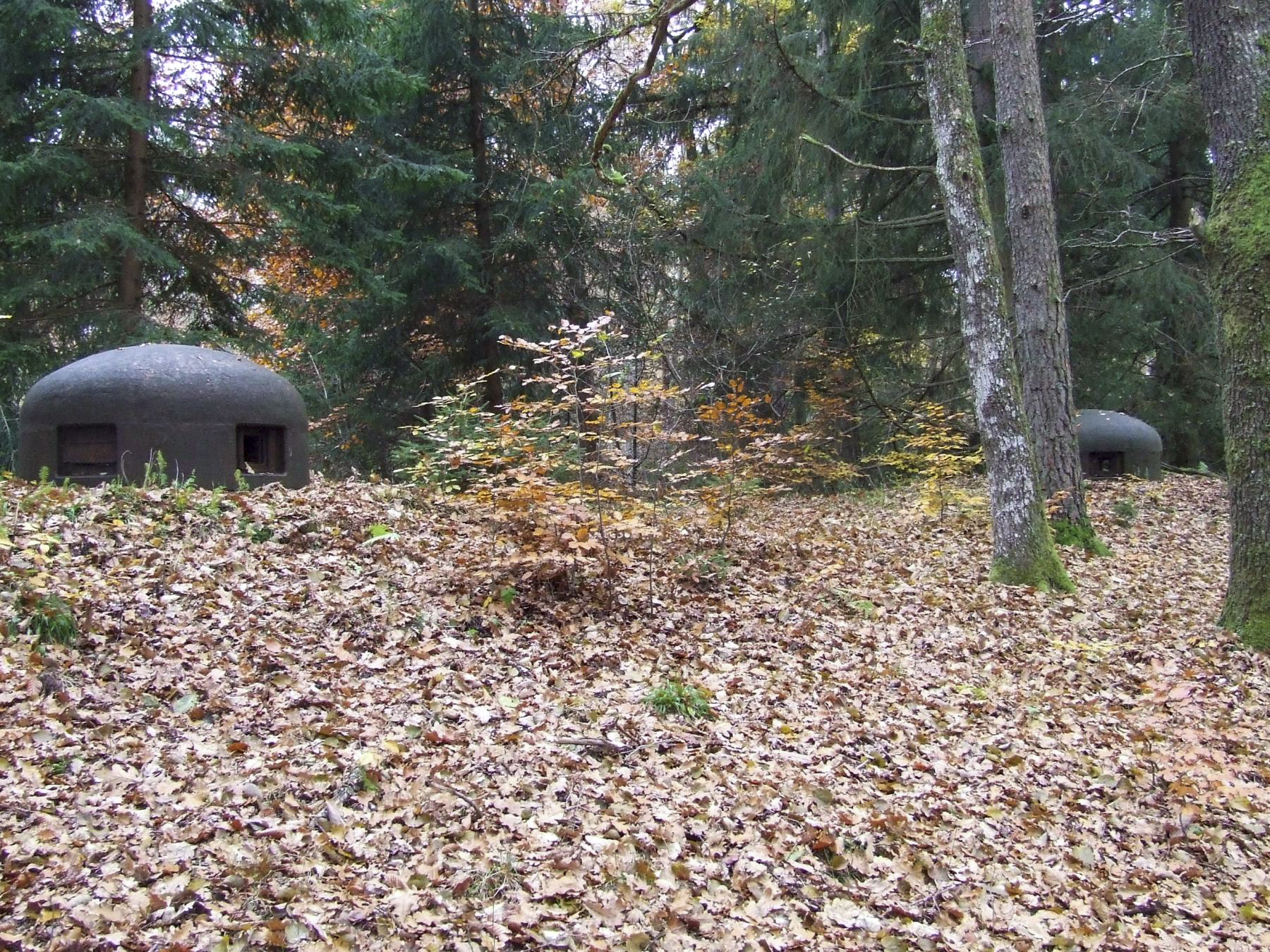 Ligne Maginot - GRAFENWEIHER NORD OUEST - (Casemate d'infanterie - double) - Les cloches GFM type A - STENGER Mathieu