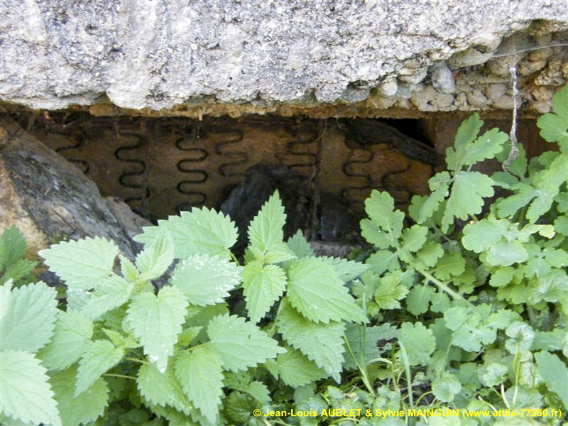 Ligne Maginot - CB109 - SENTZICH - (Blockhaus pour canon) -  - Jean-Louis AUBLET & Sylvie MAINGUIN