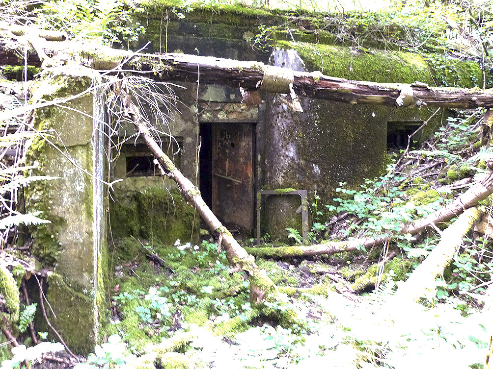 Ligne Maginot - CLIMBACH 4 - (Blockhaus pour canon) - 