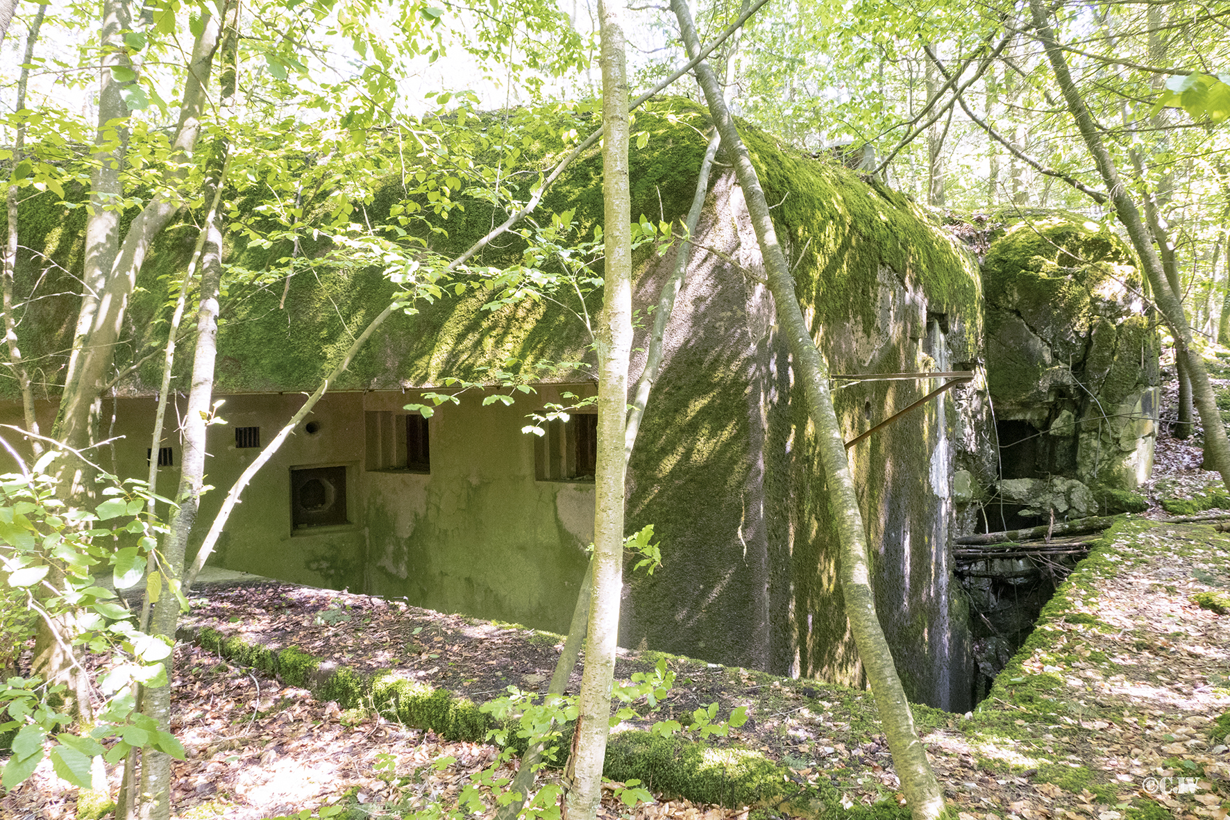 Ligne Maginot - DRACHENBRONN Nord Ouest ( Casemate d'infanterie ) - Vue générale - Lia VERMEULEN