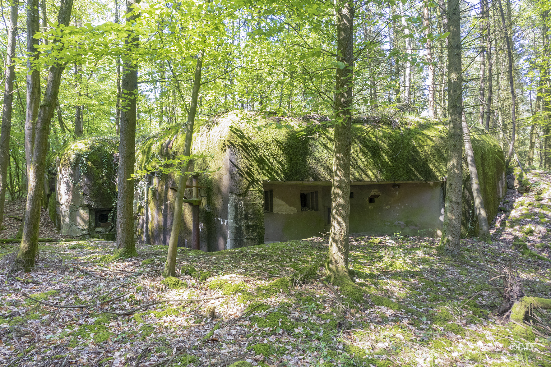 Ligne Maginot - DRACHENBRONN Sud Est ( Casemate d'infanterie ) - Vue générale - Lia VERMEULEN