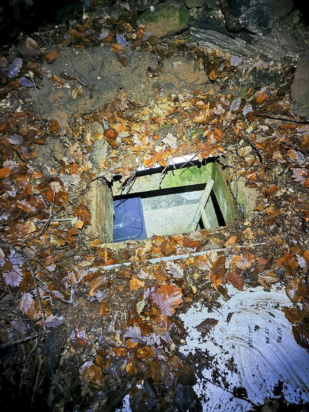 Ligne Maginot - U1 - (Chambre de coupure) - Recouverte par des branches, des pierres et des feuilles, la chambre U1 est invisible depuis la surface.

Il s'agit d'un 'puits de coupure'.

Fait étrange sur son utilisation actuelle :  la trappe en métal et l'échelle d'accès ont disparu. La trappe a été remplacée par des panneaux en métal, et l'échelle par une plus large. - DK_Antoine4