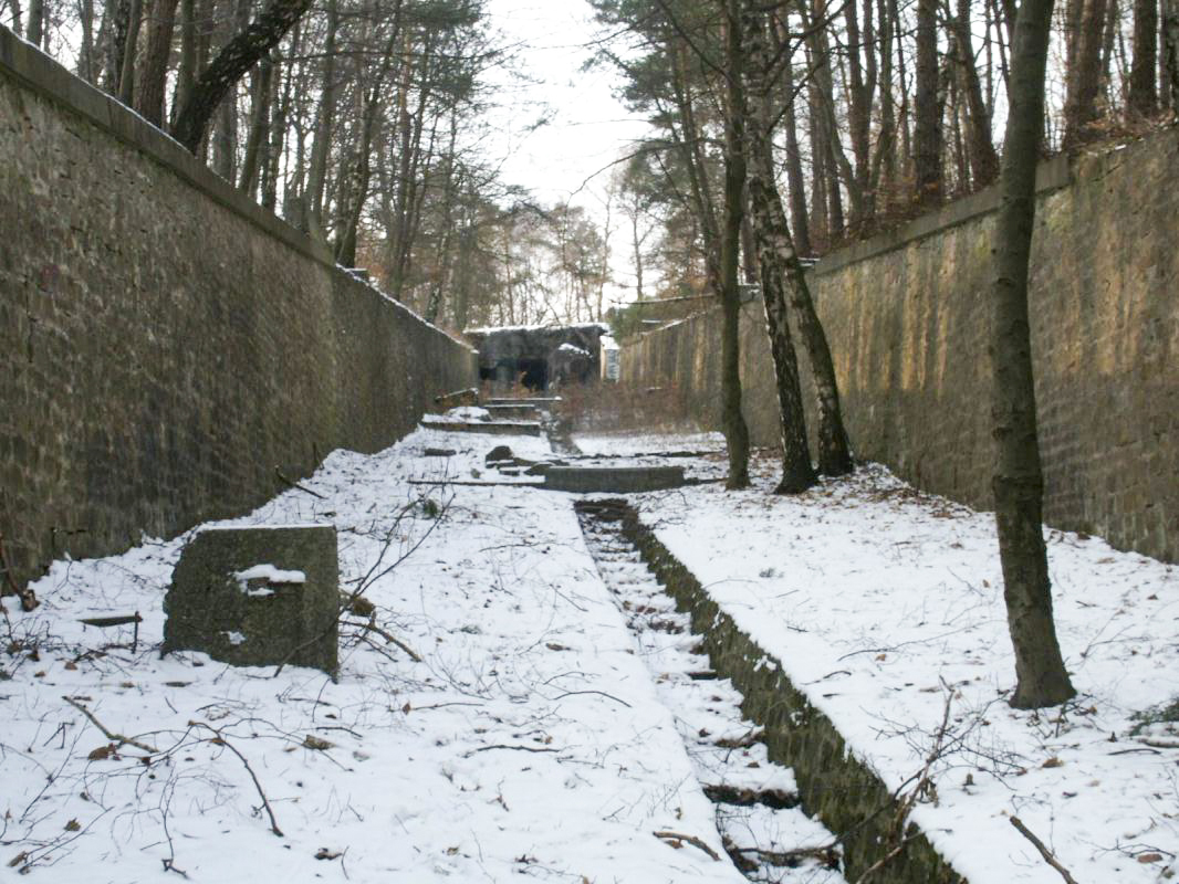 Ligne Maginot - HOCHWALD C5 ( Casemate d'infanterie ) - Le fossé antichar couvert par la casemate C5