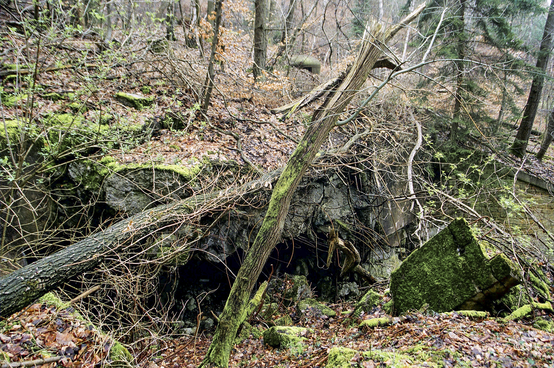 Ligne Maginot - HOCHWALD C8 ( Casemate d'infanterie ) - Vue de la façade