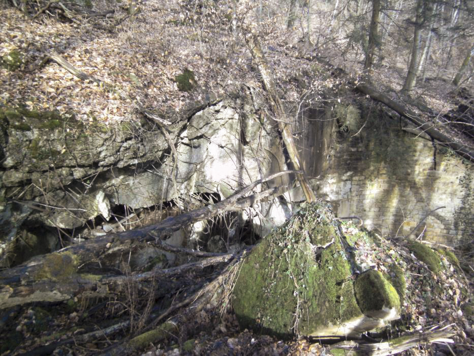 Ligne Maginot - HOCHWALD C8 ( Casemate d'infanterie ) - Vue de la façade