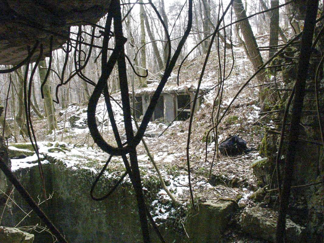 Ligne Maginot - HOCHWALD C9 ( Casemate d'infanterie ) - La façade de l'entrée éventrée 