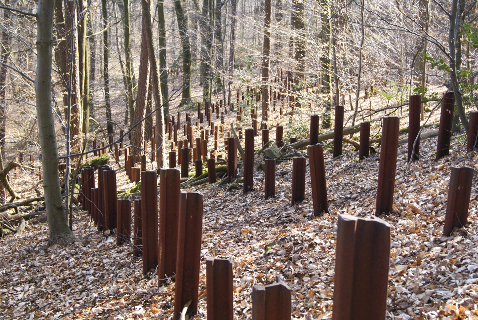 Ligne Maginot - HOCHWALD C9 (Casemate d'infanterie) - Le réseau de rails antichar aux abords
