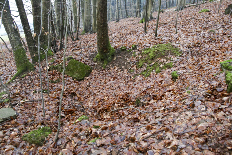 Ligne Maginot - HOCHWALD Ouest 3 ( Cuve pour arme d'infanterie ) -  - GRUBER Franck