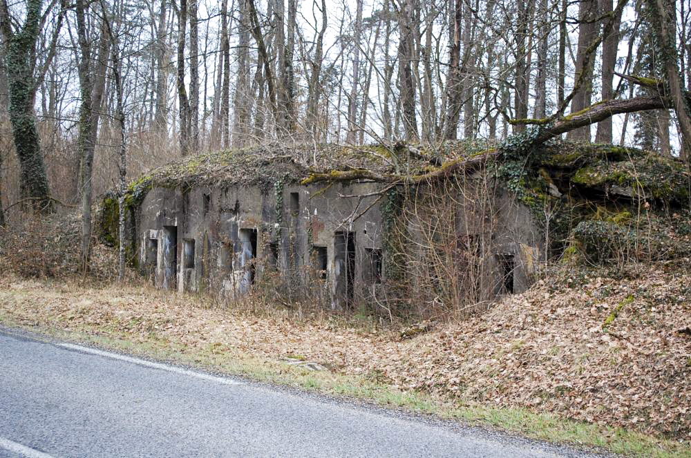 Ligne Maginot - La LOUVIERE (II/149° RIF) ( PC de Quartier ) - Situé en bordure de la route qui va de Longuyon vers Pierrepont en Meurthe et Moselle cet ouvrage est en ruine et la nature reprend ses droits...