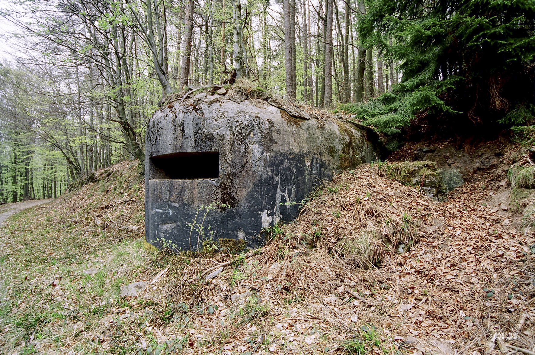 Ligne Maginot - LANGENBERG Bas ( Observatoire d'artillerie ) -  - Lia VERMEULEN
