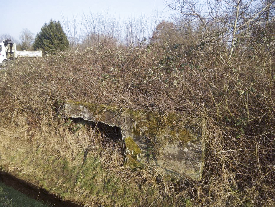Ligne Maginot - ALTENSTADT EST - (Poste GRM - Maison Forte) - 