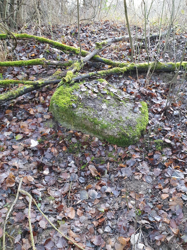 Ligne Maginot - 24/1 - OCHSENKOPF SUD - (Casemate d'infanterie - double) - 2020 ... Sur un monticule de terre recouvert de ronces, un morceau de béton est le seul témoin visible de son existence et de son drame de juin 1940