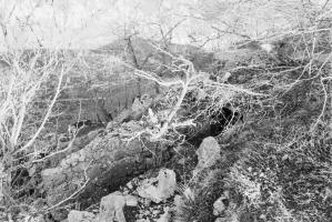 Ligne Maginot - TETE DU LOUP - (Observatoire d'artillerie) - 