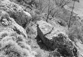 Ligne Maginot - AVELLAN NORD 5 - (Casernement) - 