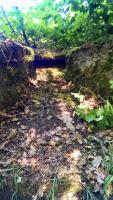 Ligne Maginot - WEISSENACKER - (Blockhaus de type indeterminé) - 
