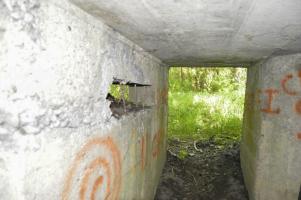Ligne Maginot - LES GLIERES 2 - (Blockhaus pour arme infanterie) - 2016