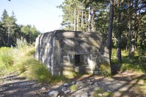 Ligne Maginot - LES GLIERES 3 - (Blockhaus pour canon) - 