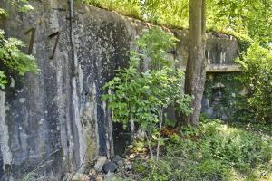 Ligne Maginot - 27/3 - FRIESENHEIM - (Casemate d'infanterie - Double) - Façade de l'entrée. Entrée masquée par l'arbre, et son créneau de défense.