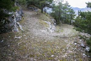Ligne Maginot - COTE 1408 - (Blockhaus pour arme infanterie) - Chemin d'accès de la position par le Nord
