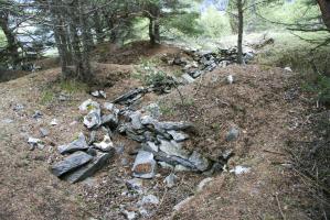 Ligne Maginot - COTE 1408 - (Blockhaus pour arme infanterie) - Les positions du sommet.
Les restes bétonnés sont en avant légèrement en contrebas