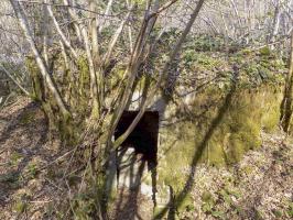 Ligne Maginot - BA106 - ROUTE DE REVIN 3. - (Blockhaus pour arme infanterie) - L'arrière