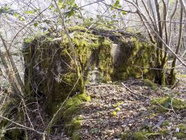 Ligne Maginot - BA106 - ROUTE DE REVIN 3. - (Blockhaus pour arme infanterie) - Face gauche