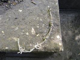 Ligne Maginot - KLOSTERGRABEN 7 - (Cuve pour arme d'infanterie) - 