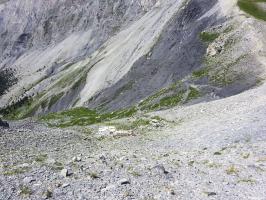 Ligne Maginot - COL DE CROUS (C) - (Ouvrage d'infanterie) - 