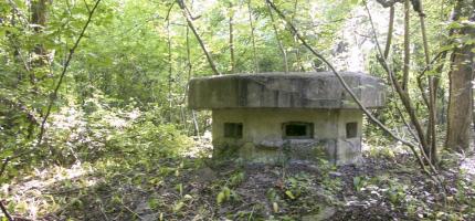 Ligne Maginot - 57 - STEINGIESSEN - (Blockhaus pour arme infanterie) - 