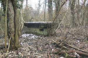 Ligne Maginot - 57 - STEINGIESSEN - (Blockhaus pour arme infanterie) - Vue générale