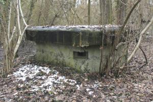 Ligne Maginot - 57 - STEINGIESSEN - (Blockhaus pour arme infanterie) - Vue générale