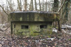 Ligne Maginot - 57 - STEINGIESSEN - (Blockhaus pour arme infanterie) - Vue générale