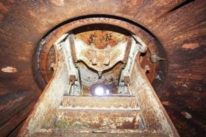 Ligne Maginot - FORT DE MUTZIG - (Ouvrage d'artillerie) - BATTERIE 2 - Fort Ouest
Tourelle de 5,3
