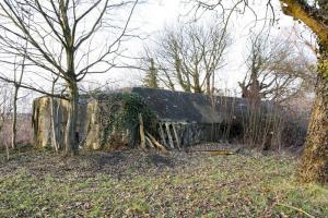 Ligne Maginot - BAHLIEN - (Abri) - Vue générale