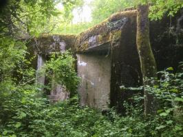 Ligne Maginot - BELLEVUE - (Central téléphonique d'observation) - La nature reprend ses droits
