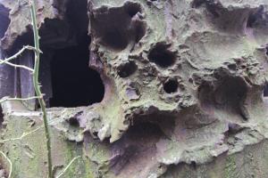 Ligne Maginot - OBERROEDERN NORD - (Casemate d'infanterie - Double) - La cloche GFM Nord Ouest labourée par les tirs de PAK allemand