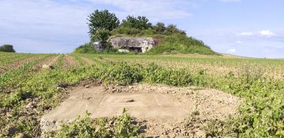 Ligne Maginot - OBERROEDERN NORD - (Casemate d'infanterie - Double) - Deuxième regard de visite de l'égout