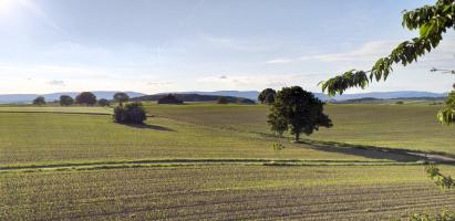 Ligne Maginot - OBERROEDERN NORD - (Casemate d'infanterie - Double) - Vue depuis la cloche GFM nord-ouest (vers bloc Kerneis et casemates d'Aschbach)
