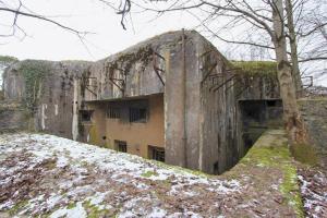 Ligne Maginot - BOIS de HOFFEN Ouest ( Casemate d'infanterie ) - Vue d'ensemble