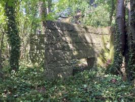 Ligne Maginot - BOIS DE HOFFEN OUEST - (Casemate d'infanterie) - Mur de soutènement bétonné devant les niches de stockage extérieurs