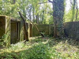 Ligne Maginot - BOIS DE HOFFEN OUEST - (Casemate d'infanterie) - Mur de soutènement devant les niches de stockage extérieurs