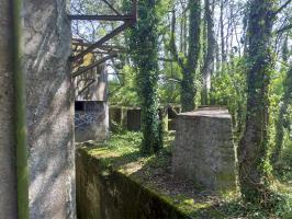 Ligne Maginot - BOIS DE HOFFEN OUEST - (Casemate d'infanterie) - Mur de soutènement devant l'entrée