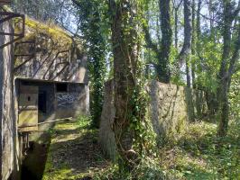 Ligne Maginot - BOIS DE HOFFEN OUEST - (Casemate d'infanterie) - Mur de soutènement devant l'entrée