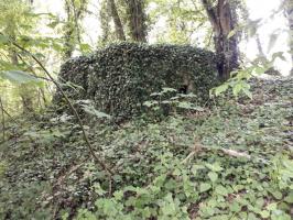 Ligne Maginot - BERNHOHLKOEPFEL 1 - (Blockhaus pour arme infanterie) - 