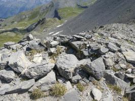 Ligne Maginot - COL DE CROUSETTE - (Divers) - Cuve 5
