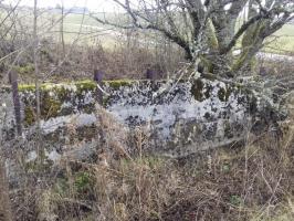 Ligne Maginot - B41 - FRANOIS - (Casemate d'infanterie - Double) - Fossé antichar